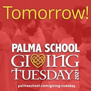 Image post by @palma_school on Instagram