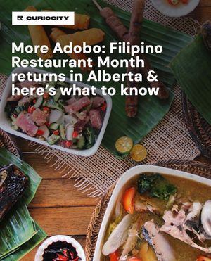 Image post by @curiocitycalgary on Instagram