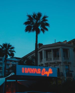 Image post by @havas on Instagram