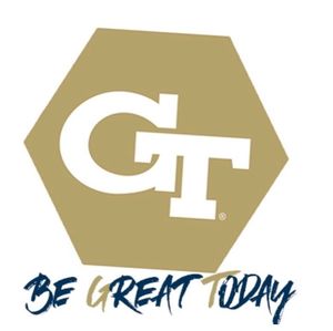 Image post by @gtvolleyball on Instagram