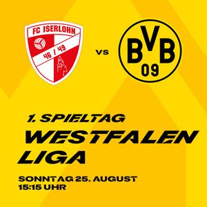 Image post by @BVB on Twitter