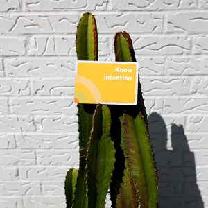 Image post by @jambajuice on Instagram