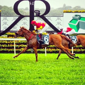 Image post by @australianturfclub on Instagram