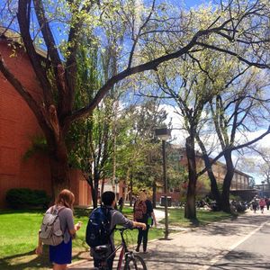 Image post by @nauflagstaff on Instagram