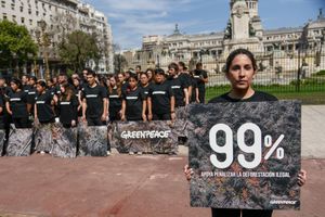 Image post by @greenpeace on Instagram