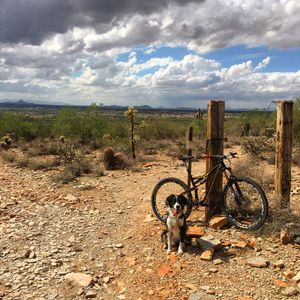 Image post by @TonyWolters on Twitter