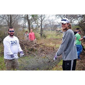 Image post by @uofmemphis on Instagram