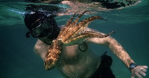 Image post by @reddigitalcinema on Instagram