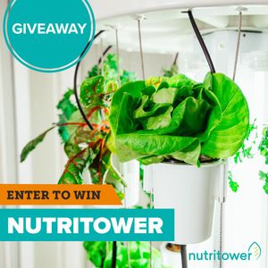 Image post by @kidsgardening on Instagram