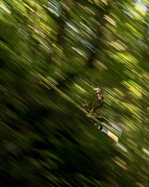 Image post by @redbullshop on Instagram