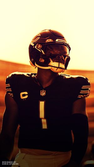 Image post by @DaBears_26 on Twitter