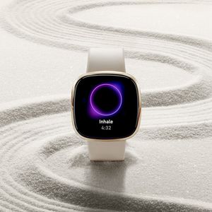 Image post by @fitbit on Instagram