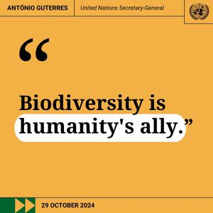 Image post by @unitednations on Instagram