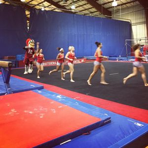 Image post by @rutgersgymnastics on Instagram