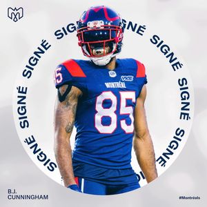 Image post by @mtlalouettes on Instagram