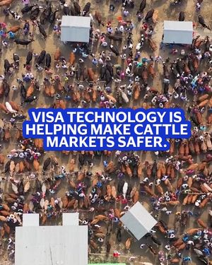 Image post by @visa on TikTok