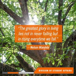 Image post by @clemson_sa on Instagram