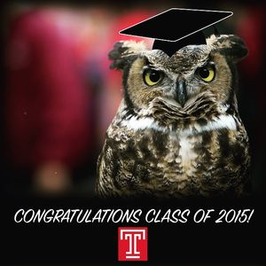Image post by @templeowls on Instagram