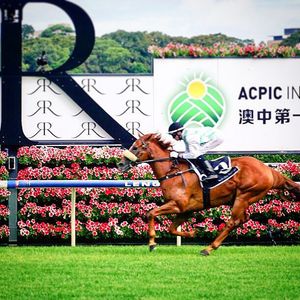 Image post by @australianturfclub on Instagram