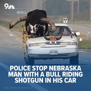 Image post by @9newsdenver on Instagram