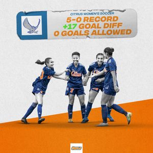 Image post by @mvmwdesign on Instagram