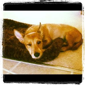 Image post by @realitytellyourvision on Instagram