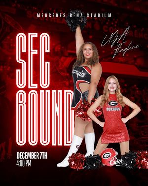Image post by @ugaflagline on Instagram