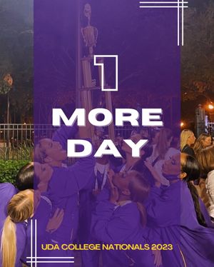 Image post by @lsutigergirls on Instagram