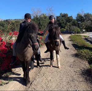 Image post by @ellendegeneres on Instagram