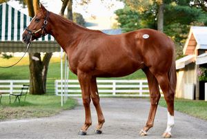 Image post by @spendthriftfarm on Instagram