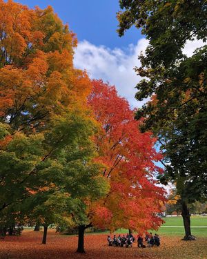 Image post by @uofnh on Instagram