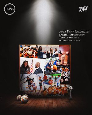 Image post by @ConnecticutSun on Twitter