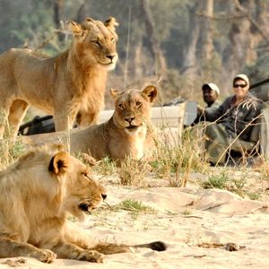 Image post by @chiawasafaris on Instagram