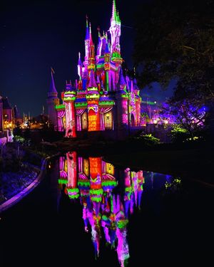 Image post by @pocketcramps on Instagram