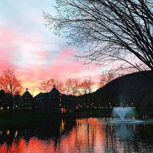Image post by @quinnipiacu on Instagram