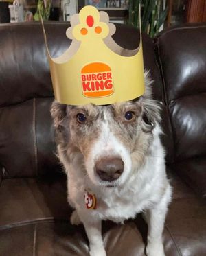 Image post by @burgerking on Instagram