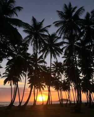 Image post by @maya on Instagram