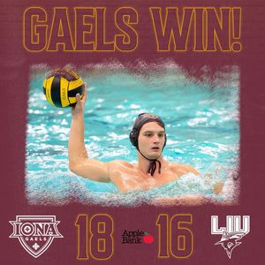 Image post by @icgaels on Instagram
