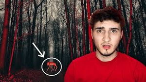 Video post by @moldov4n on YouTube