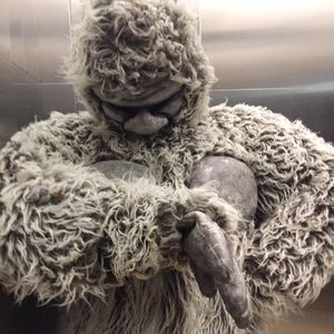 Image post by @animalplanet on Instagram