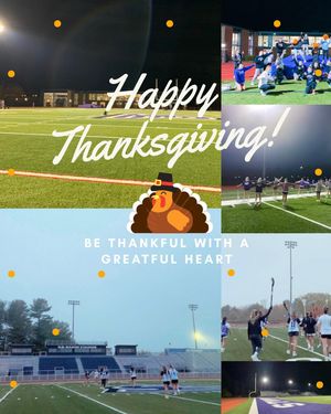 Image post by @stonehillwlax on Instagram