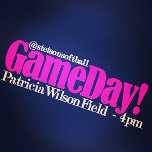 Image post by @stetsonsoftball on Instagram
