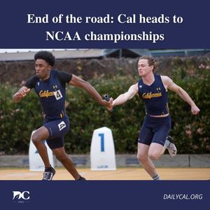 Image post by @dailycalsports on Instagram