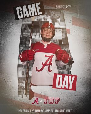 Image post by @alabamahockey on Instagram