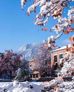 Image post by @CUBuffsWBB on Twitter