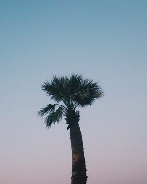 Image post by @zofeeagenota on Instagram