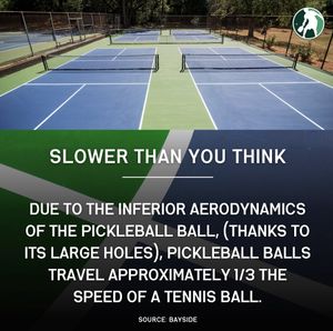 Image post by @thepickleballclinic on Instagram