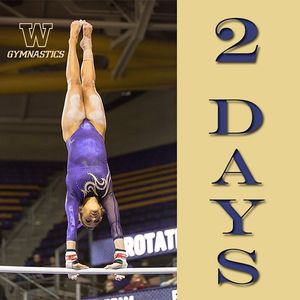 Image post by @uwgymnastics on Instagram