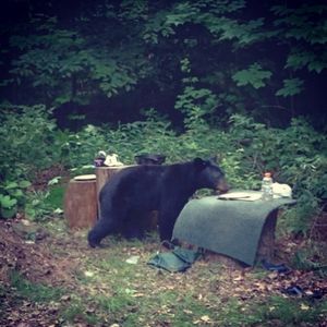 Image post by @rosssmith on Instagram