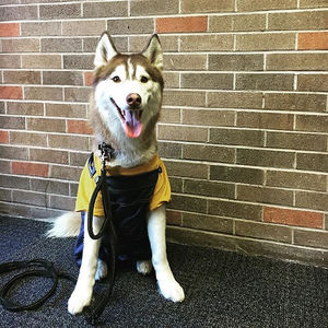 Image post by @nauflagstaff on Instagram